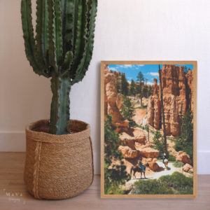 poster-bryce-canyon-cactus